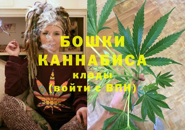 стафф Михайлов