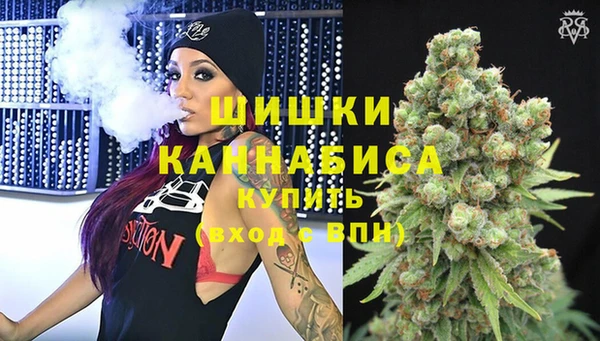 сатива Нижневартовск