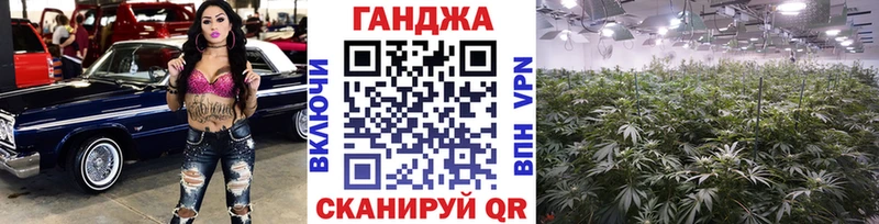 Купить закладки  Кулебаки  Бошки Шишки SATIVA & INDICA 